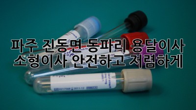 파주 진동면 동파리 용달이사: 소형이사, 안전하고 저렴하게!
