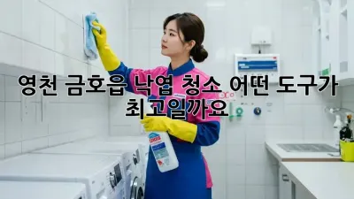 영천 금호읍 낙엽 청소, 어떤 도구가 최고일까요?